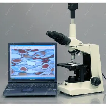 Тринокулярный микроскоп --AmScope поставляет усовершенствованный тринокулярный составной микроскоп 40X-1600X